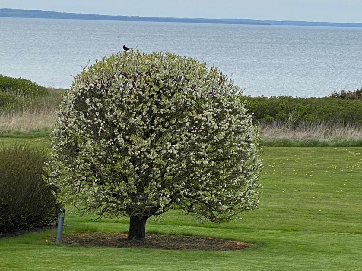 Strandhuset. Asperup Bagian luar foto